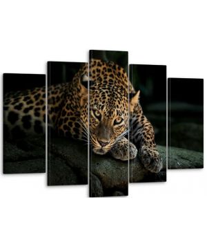 80х125 см, Леопард Модульная картина из нескольких частей на холсте