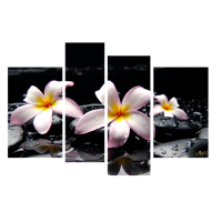 Модульна картина на кухню, в спальню 81324