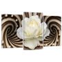 53х100 см, Белая роза Модульная картина из нескольких частей на холсте