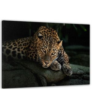 60x100 cм, Леопард Интерьерная картина на холсте на стену