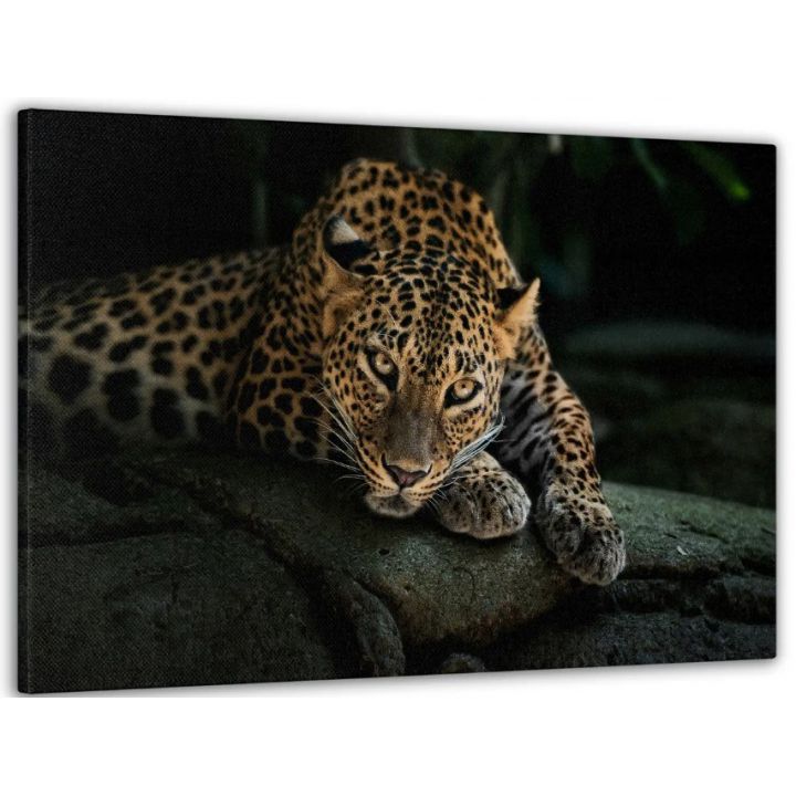 60x100 cм, Леопард Интерьерная картина на холсте на стену