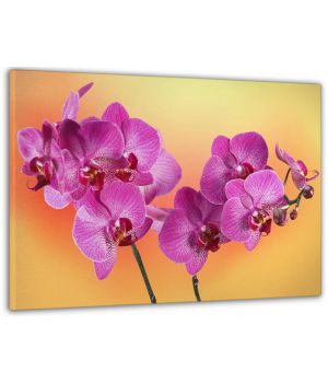 60x100 cм, Орхидеи Интерьерная картина на холсте на стену