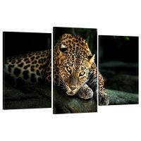 53х100 см, Леопард Модульная картина из нескольких частей на холсте