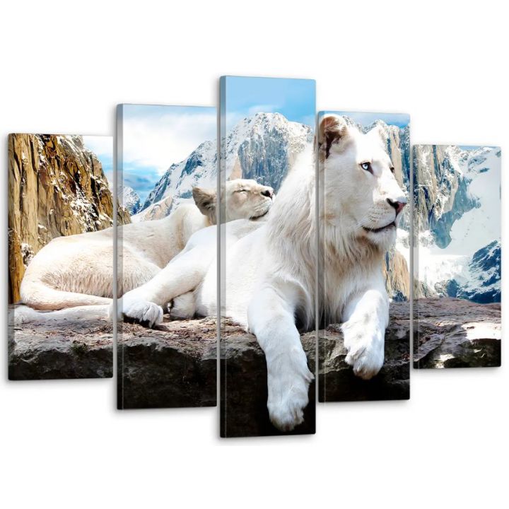 80х125 см, Белый лев Модульная картина из нескольких частей на холсте