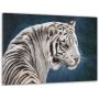 60x100 cм, Белый тигр Интерьерная картина на холсте на стену