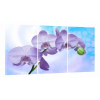 Модульная картина в зал на стену 82418, 100x180 см