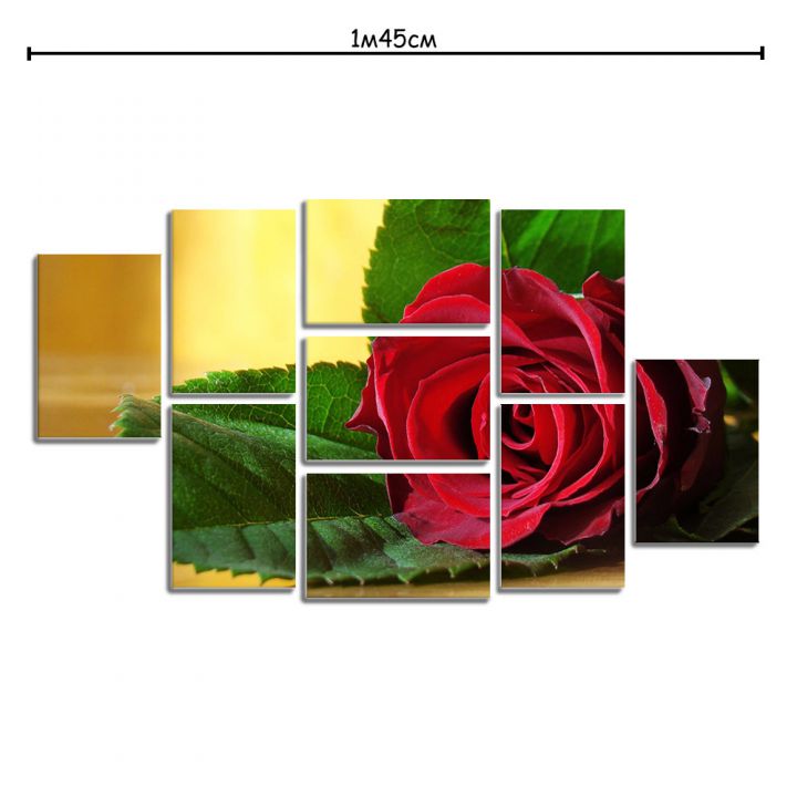 Модульна картина в спальню з принтом Червона троянда