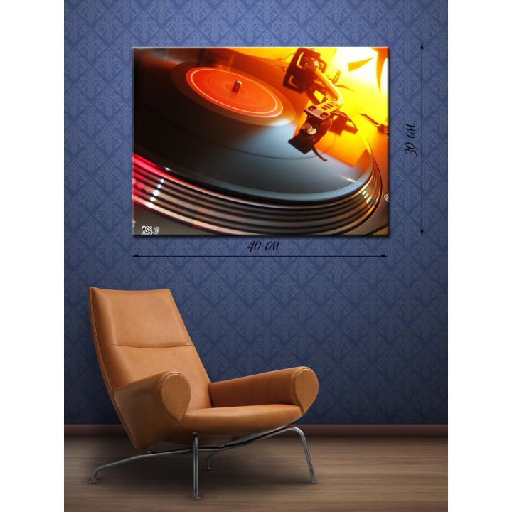 Картина на холсте 30х40 Музыкальная пластинка