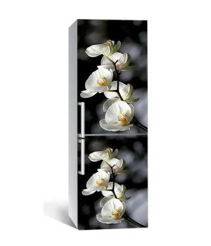 60х180 см, Наклейка на холодильник самоклеющаяся виниловая Орхидеи на черном