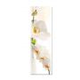 60х180 см, Наклейка на холодильник самоклеющаяся виниловая Белая орхидея