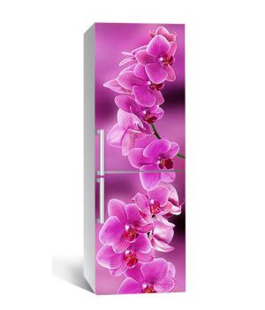 60х180 см, Наклейка на холодильник самоклеющаяся виниловая Ветка орхидеи