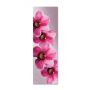 60х180 см, Наклейка на холодильник самоклеющаяся виниловая Большие орхидеи