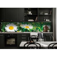 Наклейка кухонный фартук 65х250 см Солнечные ромашки зеленый