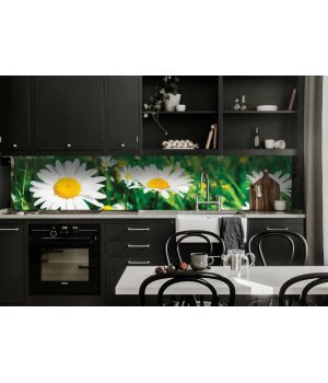 Наклейка кухонный фартук 60х300 см Солнечные ромашки зеленый