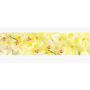 Наклейка кухонный фартук 65х250 см Нежные желтые орхидеи желтый