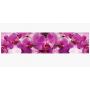 Наклейка кухонный фартук 65х250 см Пышные розовые Орхидеи розовый