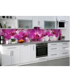 Наклейка кухонный фартук 65х250 см Пышные розовые Орхидеи розовый