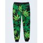 Модные женские брюки Cannabis