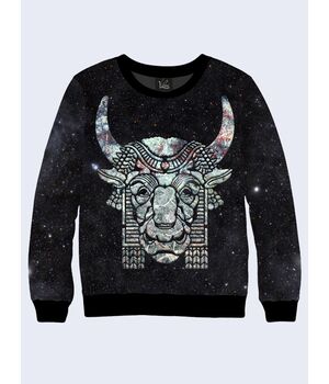 Жіночий світшот Stone bull