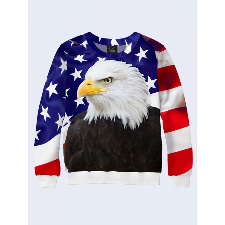 3D Мужской свитшот Bald eagle