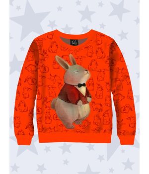 Дитячий світшот Mister rabbit, 67360
