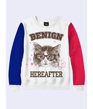 СВИТШОТ BENIGN HEREAFTER