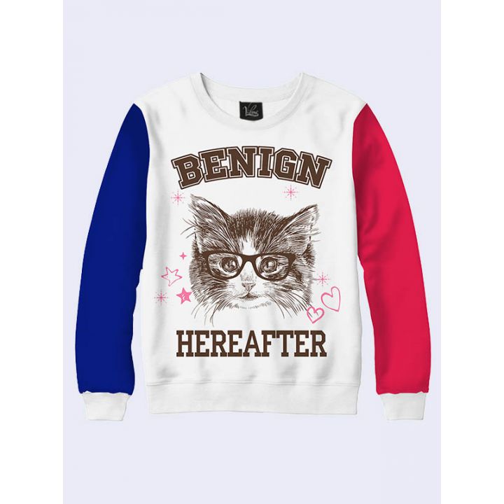 СВІТШОТ BENIGN HEREAFTER