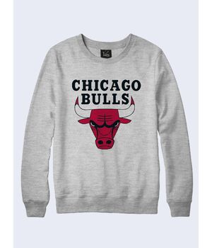 Свитшот Chicago Bulls logo