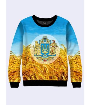 Свитшот для мужчин "Символы Украины" сине-желтый