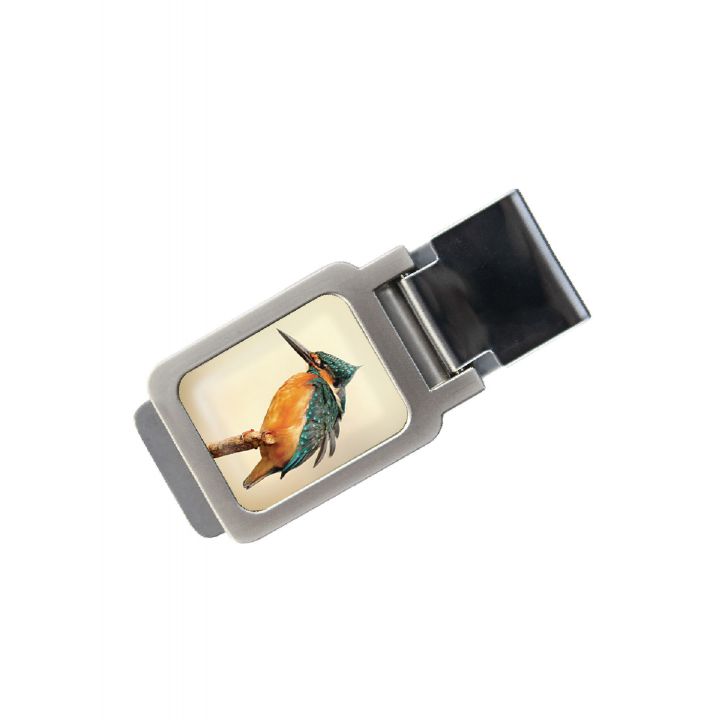 Зажим для денег DevayS Maker DM 01 Колибри бежевый (34-08-454)