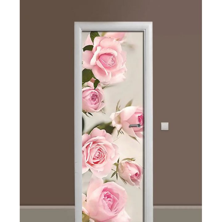 Самоклеюча декоративна наклейка на двері dv32600