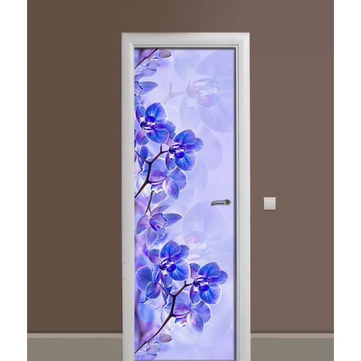 Самоклеюча декоративна наклейка на двері dv32542