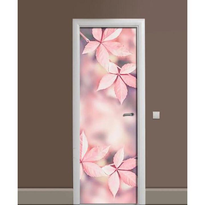 Самоклеюча декоративна наклейка на двері dv32523
