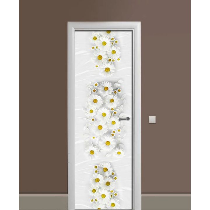 Самоклеюча декоративна наклейка на двері dv32453