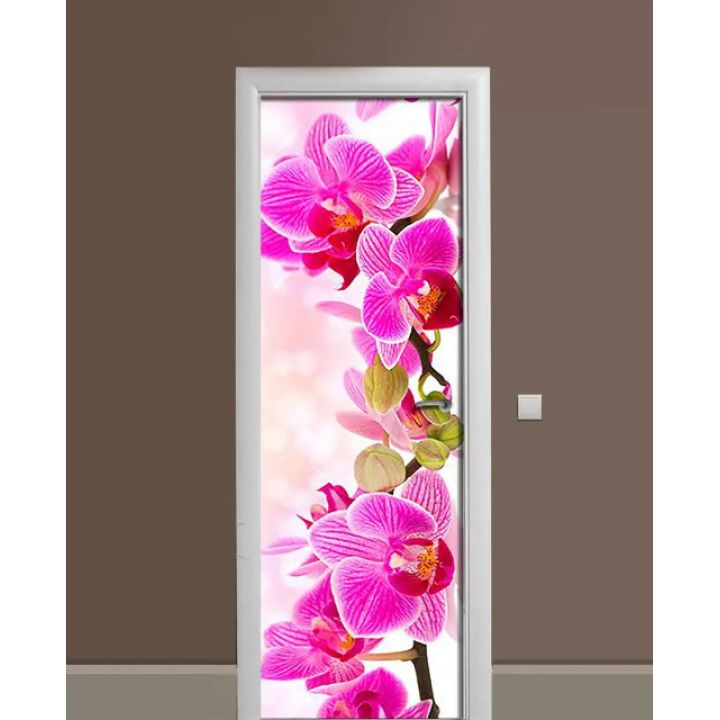 Самоклеюча декоративна наклейка на двері dv32595