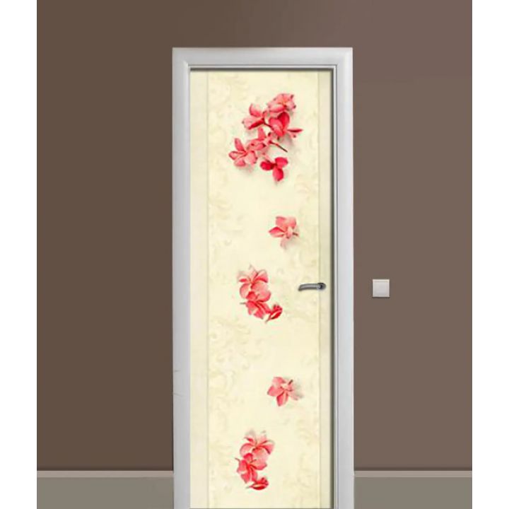 Самоклеюча декоративна наклейка на двері dv32515