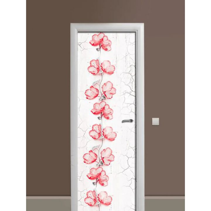 Самоклеюча декоративна наклейка на двері dv32735