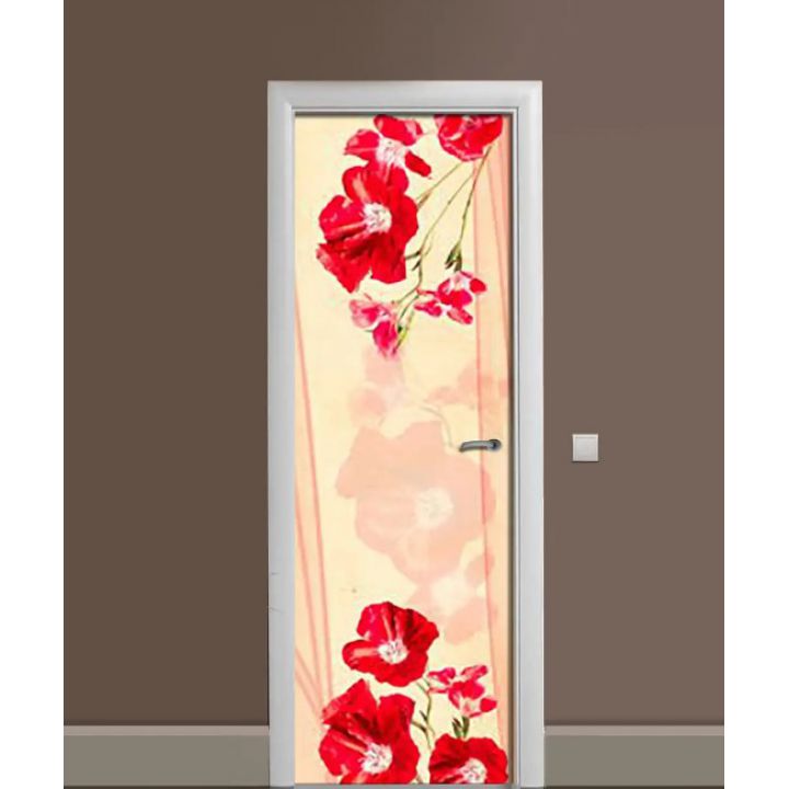 Самоклеюча декоративна наклейка на двері dv32516