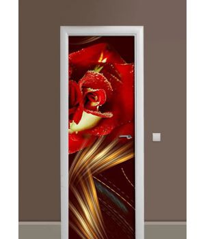 Самоклеюча декоративна наклейка на двері dv32658