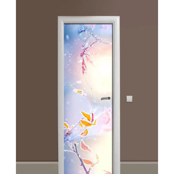 Самоклеюча декоративна наклейка на двері dv32589