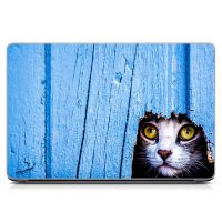 Вініловий стікер для ноутбука Кіт Матовий