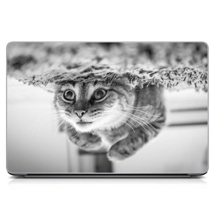 Універсальна наклейка для ноутбука 15.6"-13.3" Кумедний кіт Матовий 380х250 мм