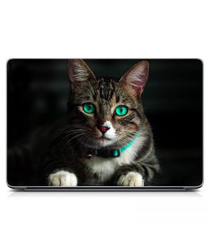 Універсальна наклейка для ноутбука 15.6"-13.3" Зеленоокий кіт Матовий 380х250 мм