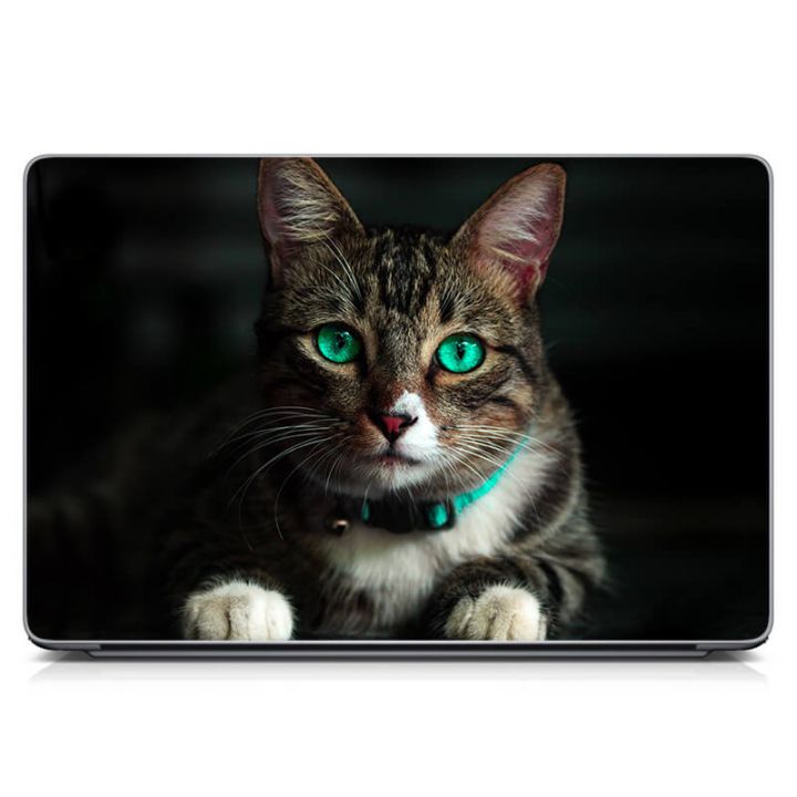 Універсальна наклейка для ноутбука 15.6"-13.3" Зеленоокий кіт Матовий 380х250 мм