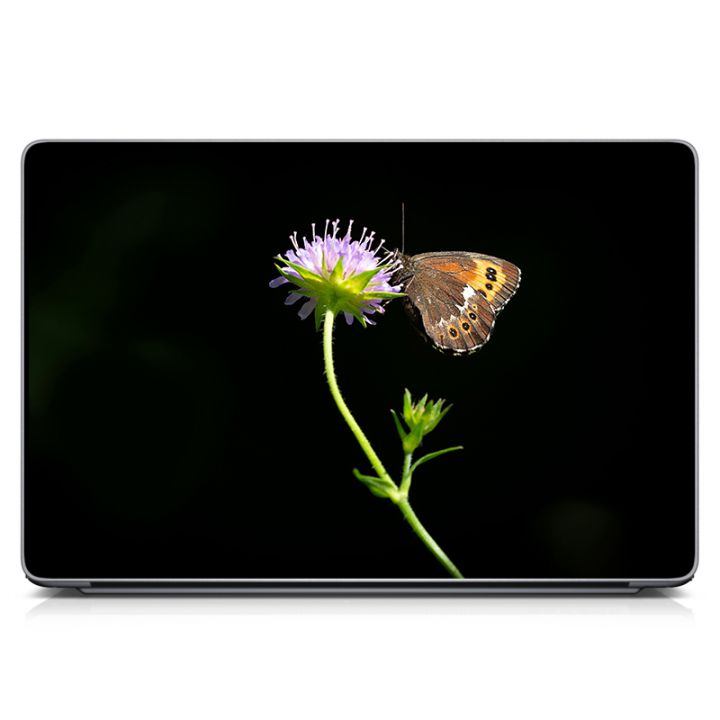 Виниловая наклейка для ноута Бабочка на цветке Матовая