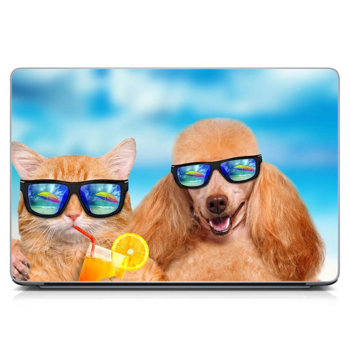 Універсальна наклейка для ноутбука 15.6"-13.3" Кіт і пес в окулярах Матовий 380х250 мм