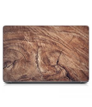 Стикер на ноутбук Дерево в разрезе Матовый