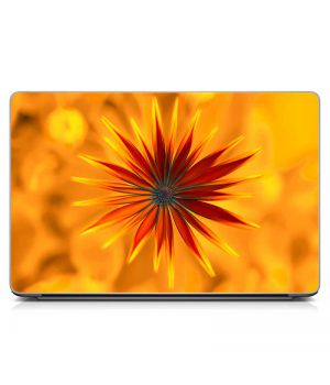 Виниловый стикер на ноутбук Оранжевый цветок Матовый