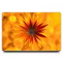 Вінілова наклейка на ноутбук Помаранчева квітка Матовий