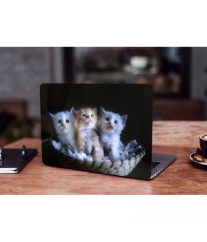 Защитная виниловая наклейка для ноутбука Kittens 380х250 мм Матовая